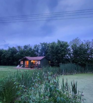 Mech na dachu - domek letniskowy