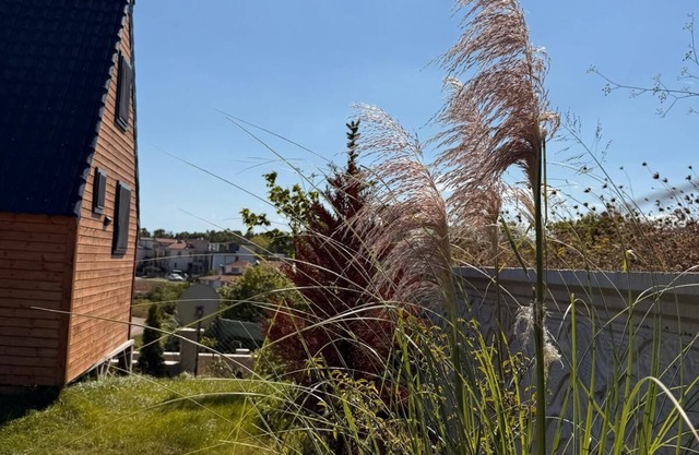 MERKEZDE DOGAYLA İÇ İÇE DENİZE 100 METRE MESAFEDE BUNGALOV.