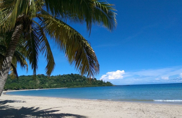 Spacious air-conditioned bungalows 2 minutes from the beach