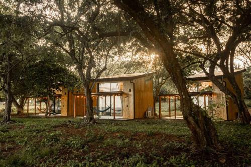 Mind - Oceanfront Jungle Loft