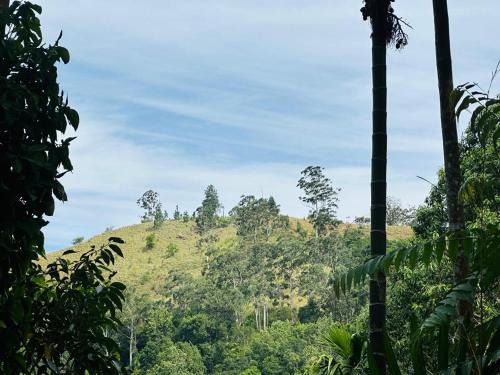 Mithun Homestay Ella