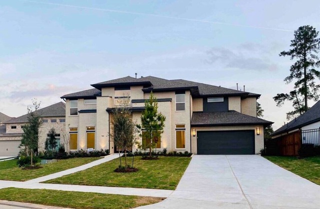 Mod Mansion/KngBdTreehouse for 20 Woodlands/Houston