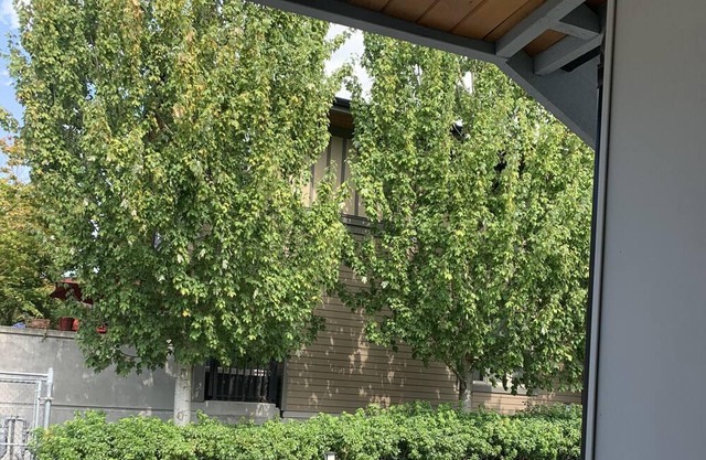 Modern 2 bedroom laneway home in Fraserhood