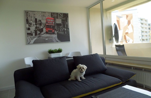 Modern apartment 45 m" up to 3 persons with balcony, elevator, WLAN,