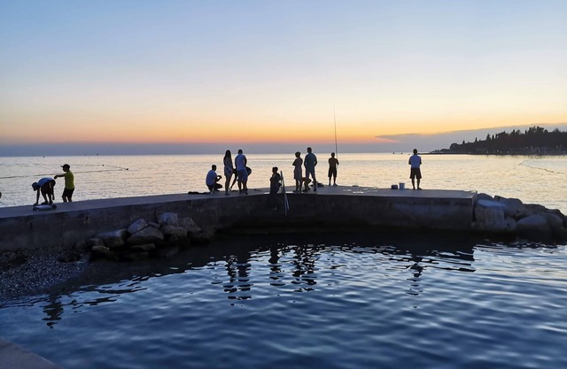 Modern furnished studio apartment