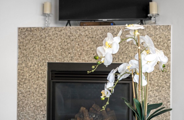 Modern House with Private Backyard and Fireplace