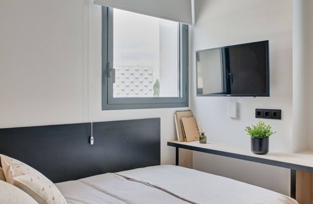 Modern Room with High-Speed Wi-Fi in Pamplona