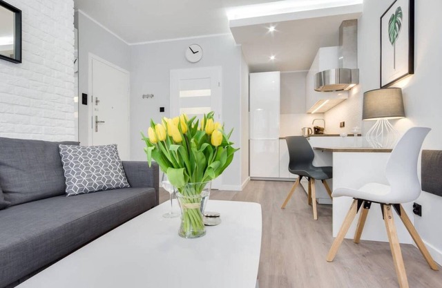 Modern Studio Apartment