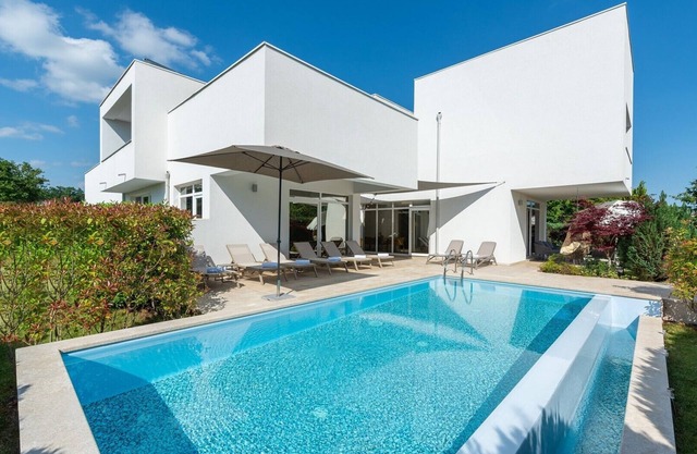 Modern Villa Kate in Zminj