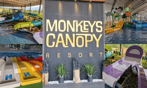 Monkeys Canopy Resort with Theme Parks