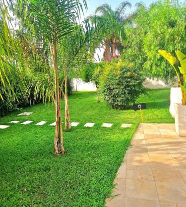 Monolocale Alimini Home