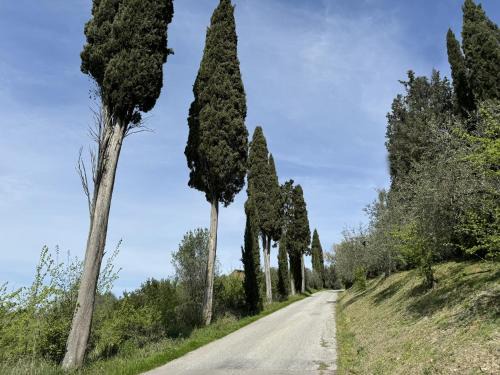 Montebello, Cuore Toscano