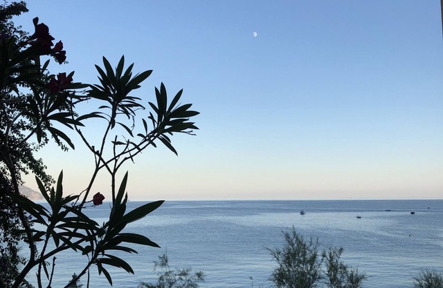 Monterosso Sea View Apartment