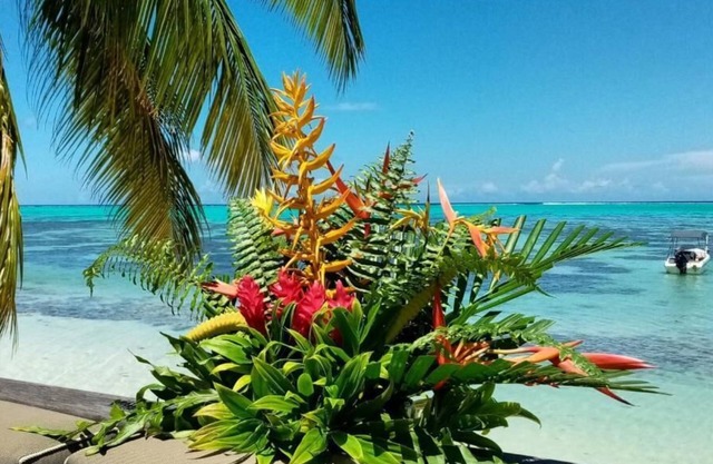 Moorea Island Beach