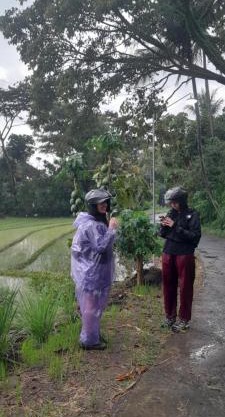 Moto driver tour Borobudur , Rice terace, sacred waterfall
