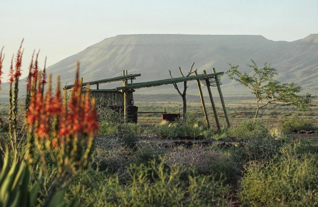 Mount D'Urban Campsite