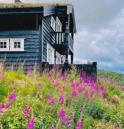 Mountain Cabin With Views Over Hovden