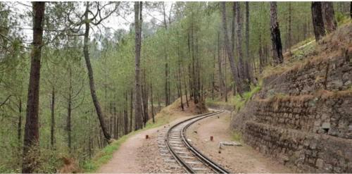 Mountain Majesty Kasauli !