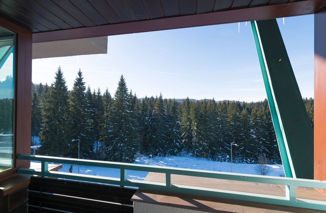 Mountain retreat in the Carpathians