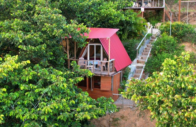 Mountain Top Cabin with Unique View 35 minutes from the city!