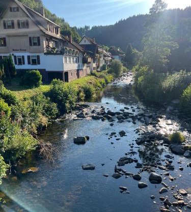 Murgtal Traum Apartment Schwarzwald