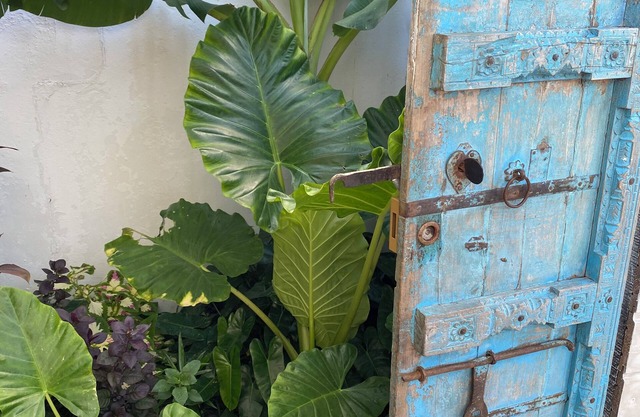 Mzelle Pipine à 2 Minutes de la Plage !