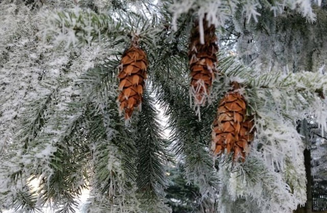 Natural paradise with large garden and 4 terraces