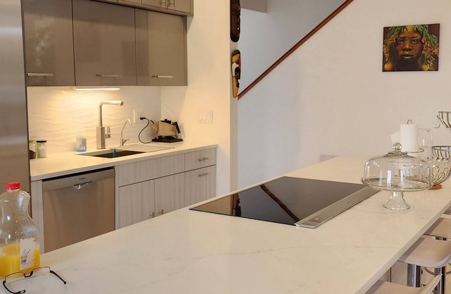 Natural-Woods Luxury-condo 2Bdrm/sound proof &Fitness Eqp. Boston