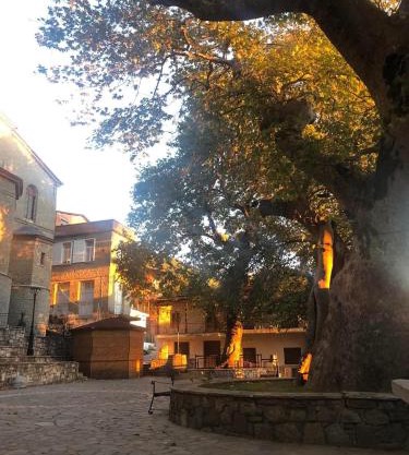 Nature Paradise Apartment