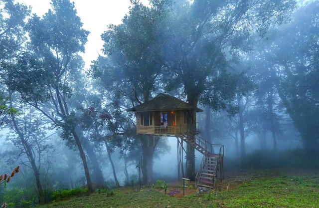 Nature Zone Jungle Resort