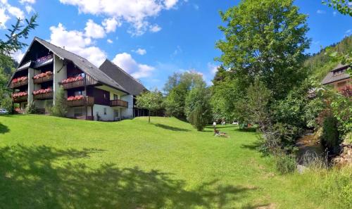 Naturidyll am Fluß - Ferienhaus Albmatte - großer Garten zum grillen und entspannen-direkt neben dem Radon Revitalbad mit Sauna und Thermalbecken