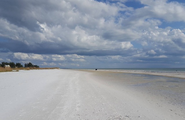 Near Anna Maria Island Beaches - Olympic-size pool!
