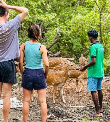 Nehansa Resort and safari