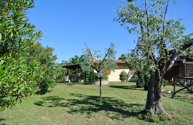 Nestled in the plains of Castagneto Carducci