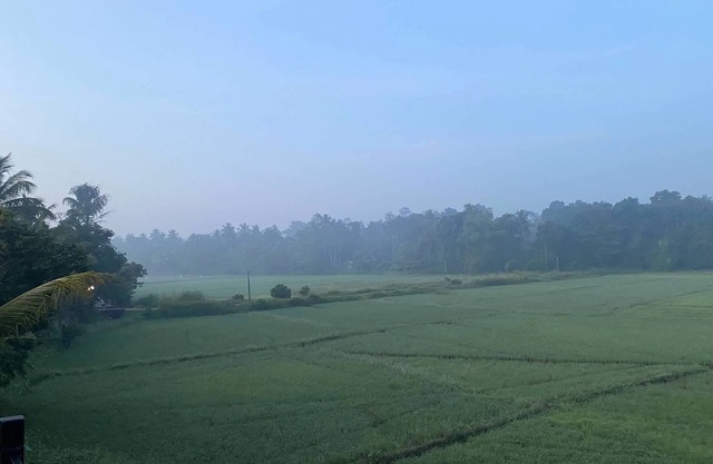 Nestled into a quiet comfy paradise!nnJust 12km from Katunayake Intl. Airport.