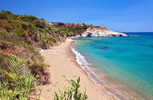 New Aurora Apts Studios