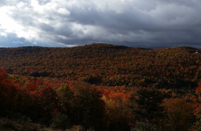 New Beautiful Modern Home - Weekly or Monthly - Isolated but Centrally Located