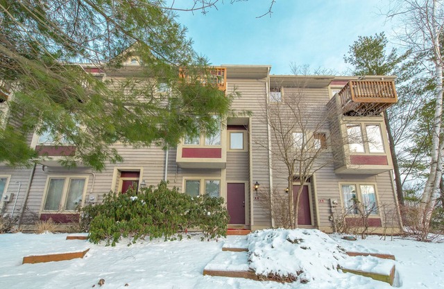 New! Cozy Dog Friendly Wisp Townhome w/Hot Tub