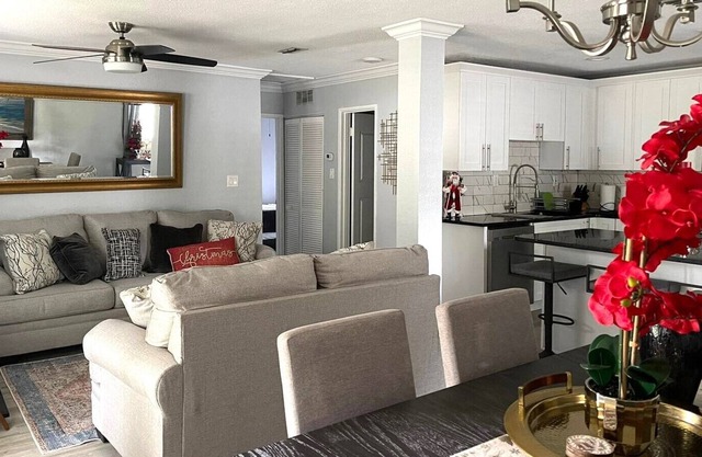 New! Remodeled Spacious Home Near Raymond James Stadium