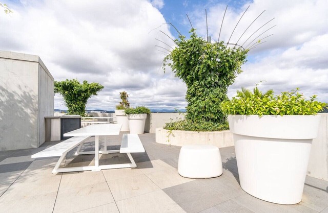 New to VRBO: Beautiful Art Apartment near Tram and Shops!