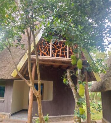 Nguru Farm