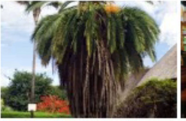 Nhoro 1 bedroom 1 bathroom