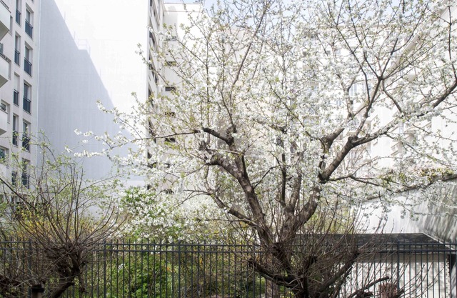 Nice 48 M2 With Garden Balcony And Wifi In Paris