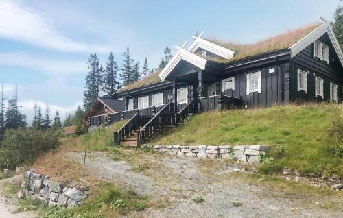 Nice Home In Rjukan With Wifi