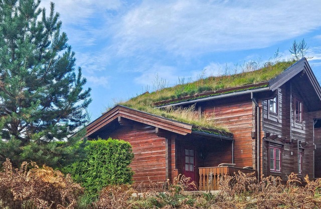 Nice home in Vrådal with house a mountain view