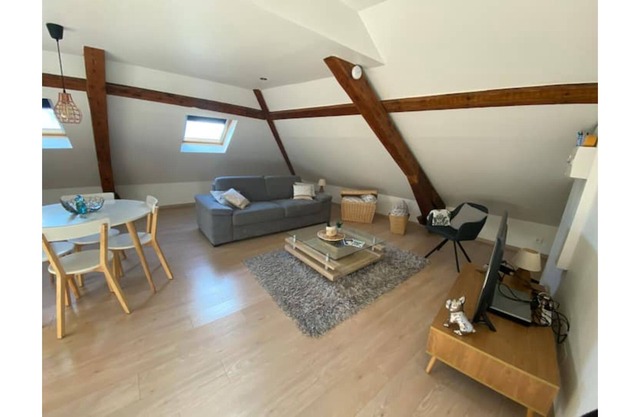 Nice studio near the parks and the city center district of France