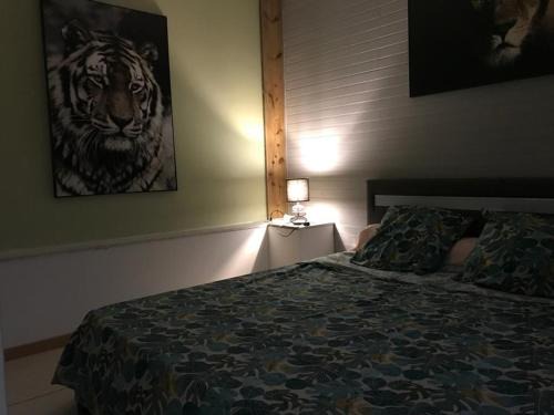 Nicole Résidence avec piscine chauffée & jacuzzi