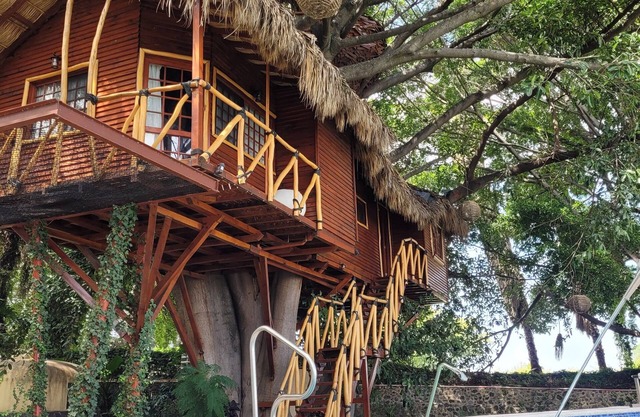 Nido Ecoluxury Treehouse - Casa de Arbol