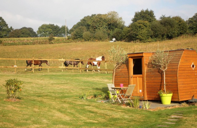 Night in a caravan with breakfast included (unusual guest room)