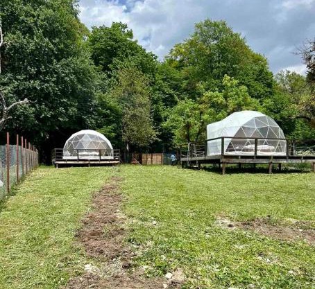 Nikorstminda glamping - Batoni's forest